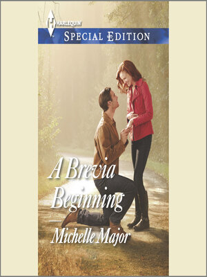 cover image of A Brevia Beginning